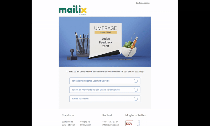 Interactive email questionnaire